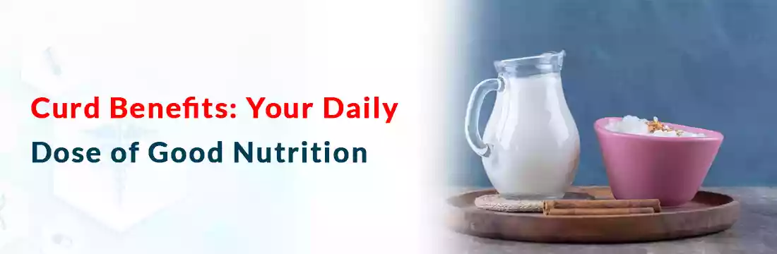  Curd Benefits: Your Daily Dose of Good Nutrition